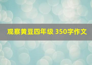 观察黄豆四年级 350字作文